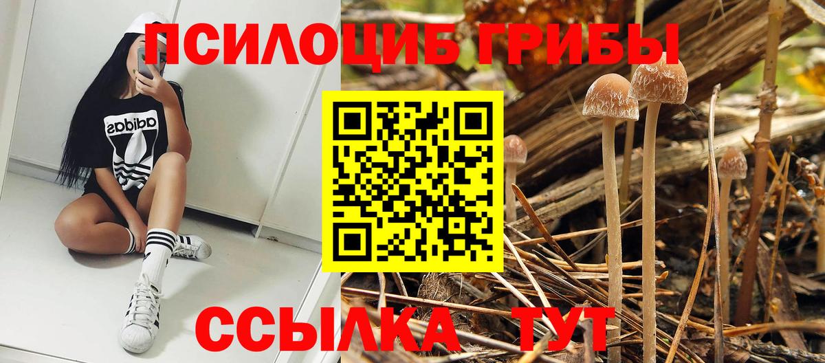 Псилоцибиновые грибы мухоморы Новоуральск