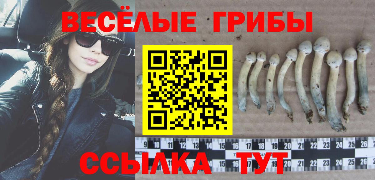 Новоуральск  Галлюциногенные грибы Psilocybe  Вход с VPN  Псилоцибиновые грибы Magic Shrooms 